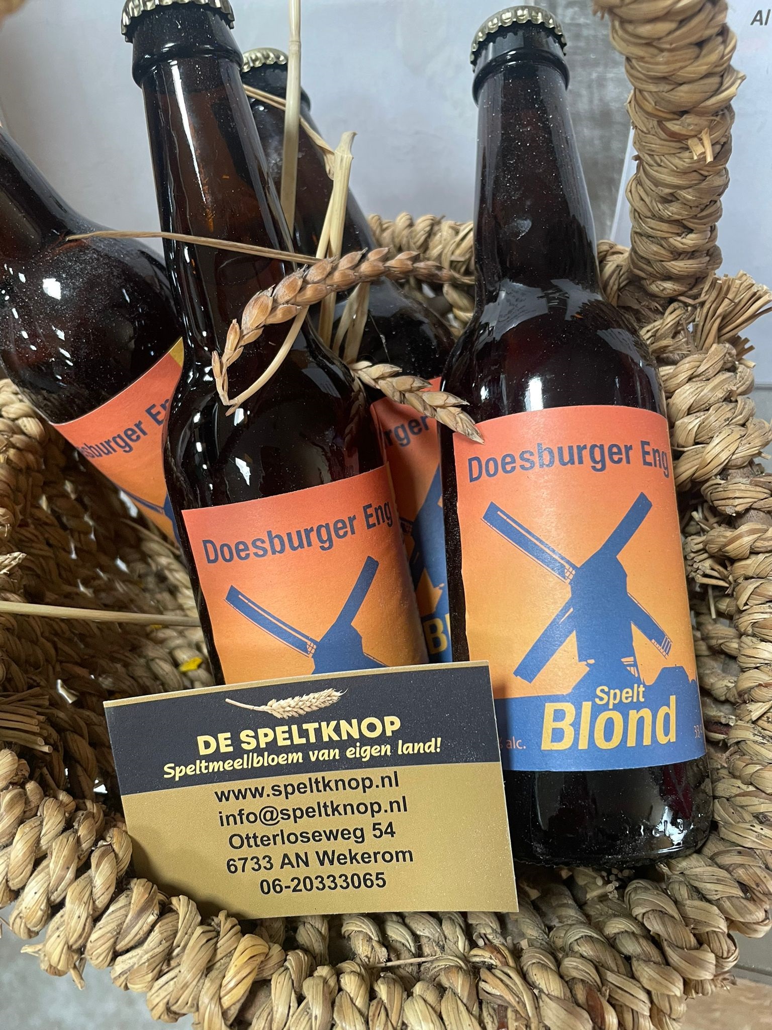 Speltbier blond Image