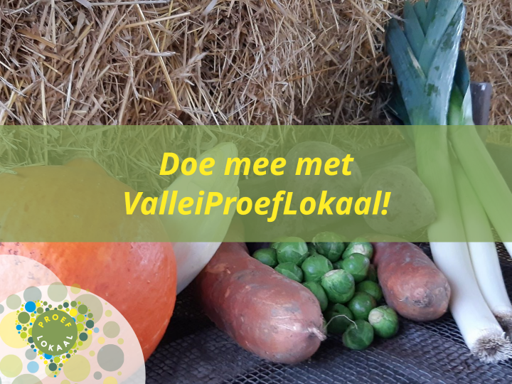 Doe mee met ValleiProefLokaal!