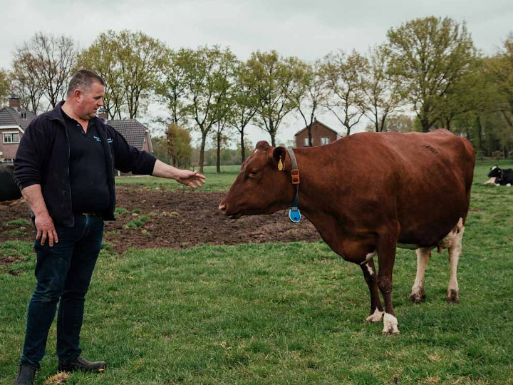 Boerderij het Binnenveld