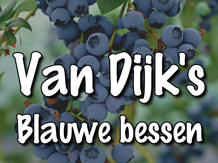 Van Dijk's blauwe bessen
