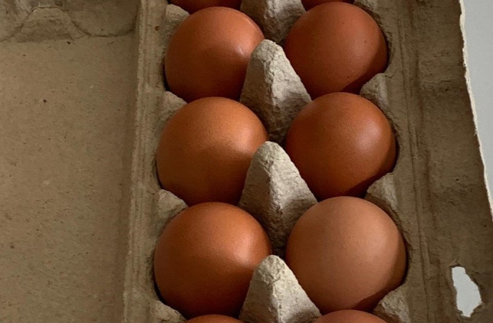 dozijn bruine eieren